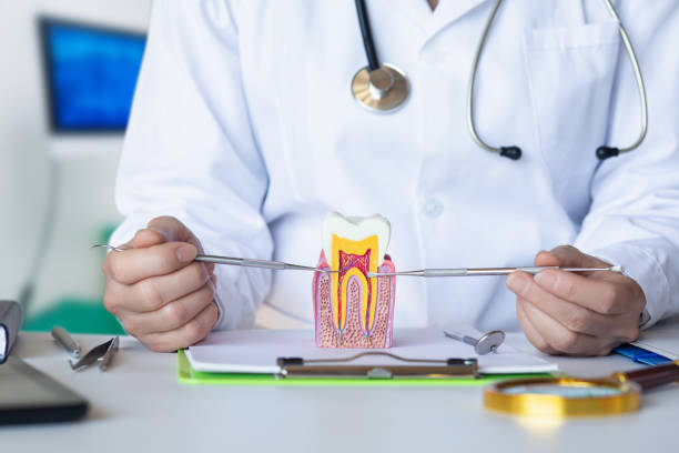 Best Broken or Chipped Tooth Repair in Tanaina, AK